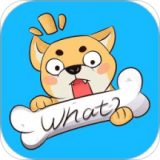 汪特企业版 v1.1.5