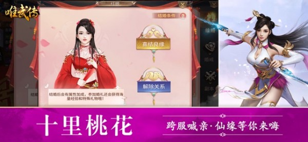 唯武传ios