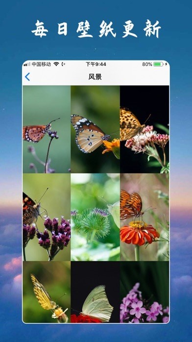 懂我壁纸ios