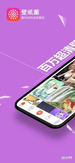 壁纸精灵app