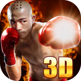 真实拳击对决 v2.1