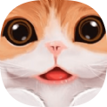 小猫咪历险记 v0.5.9