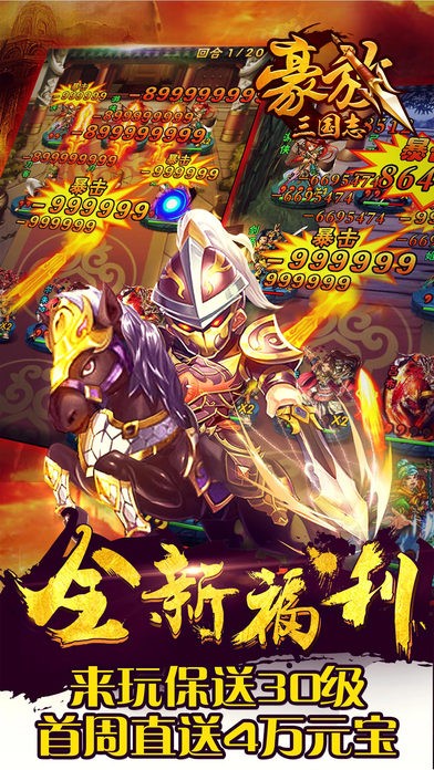 豪放三国志iOS版