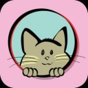 Cat Lady