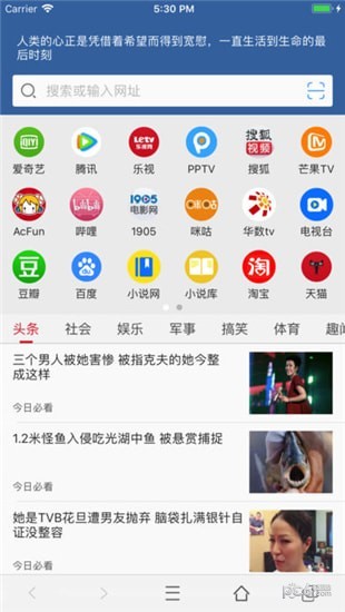可乐浏览器苹果版下载