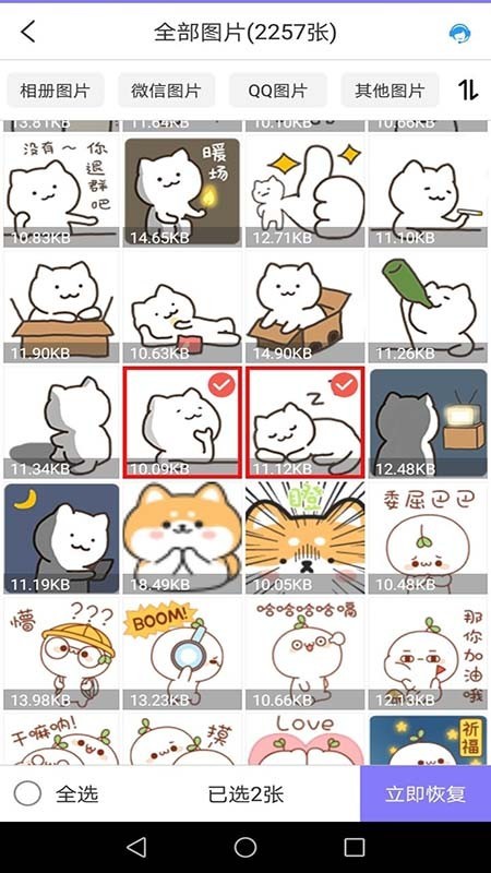 万能图片恢复