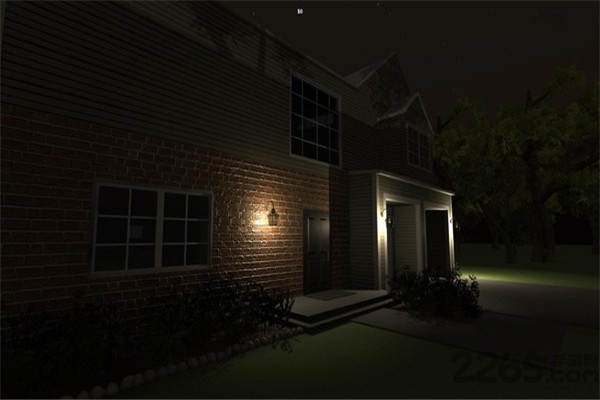 小偷模拟器中文版