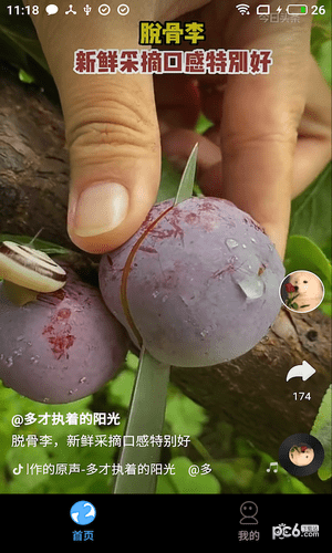 多多免费短剧
