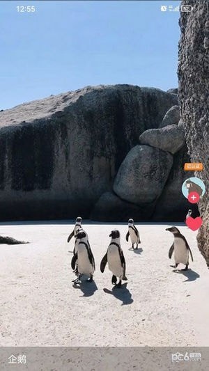 嘟嘟短视频 嘟嘟短视频