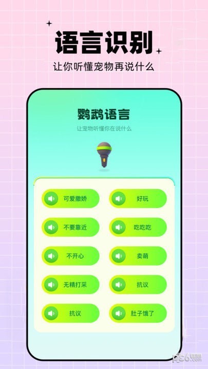 鹦鹉语言翻译器