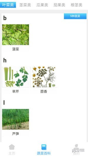 口袋菜农 口袋菜农