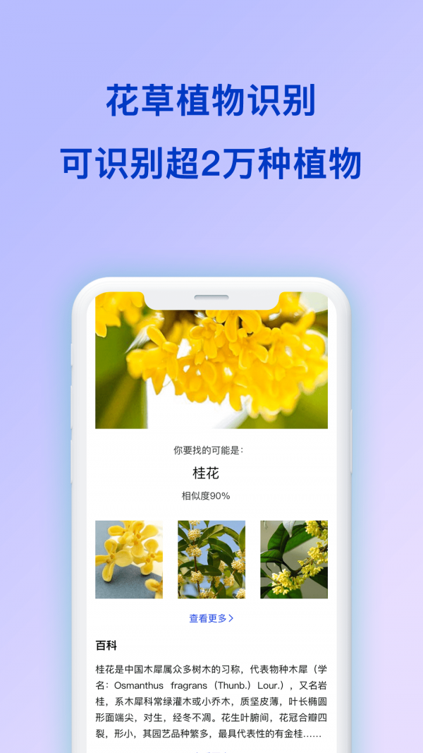 动物识别 动物识别