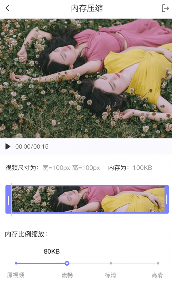 视频转格式大师