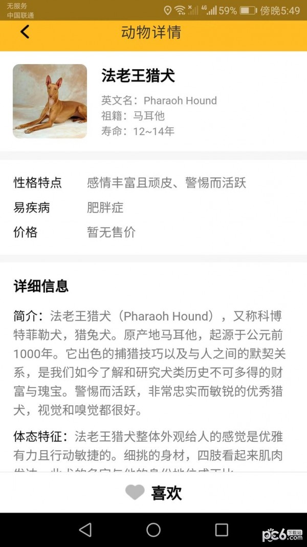 口袋乐看