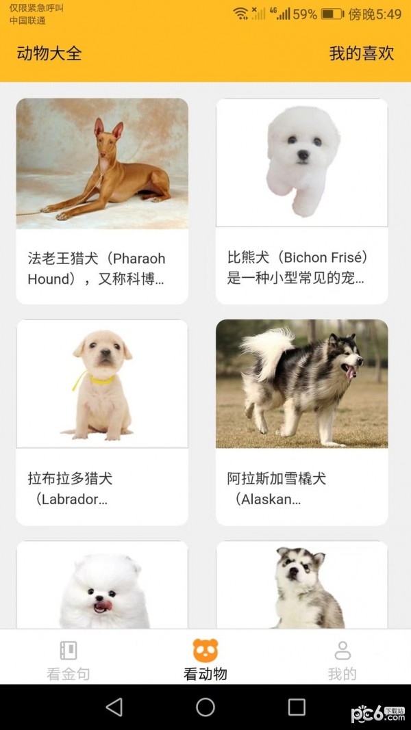 口袋乐看