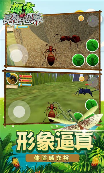 探索昆虫世界手机版