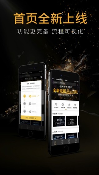 恒天金服app