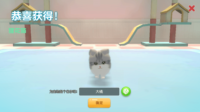 养了个猫联机版游戏