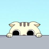 猫咪计划赚钱 v1.0