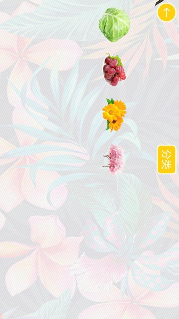 宝宝学植物颜色 宝宝学植物颜色