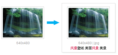 搜狗图片app下载