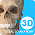 维萨里3D解剖 v5.7.0