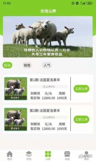 饽椤牧人