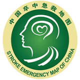 卒中地图