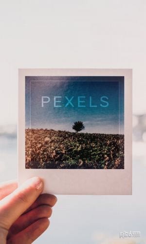 pexel手机壁纸