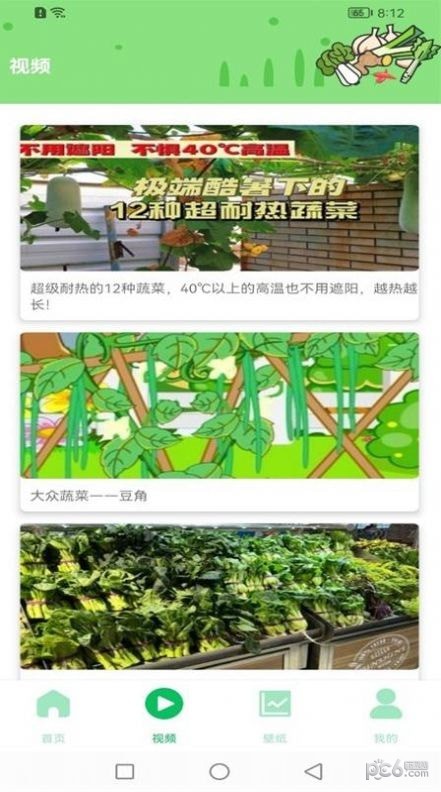 有机蔬菜市场