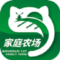 山里猫 v1.02