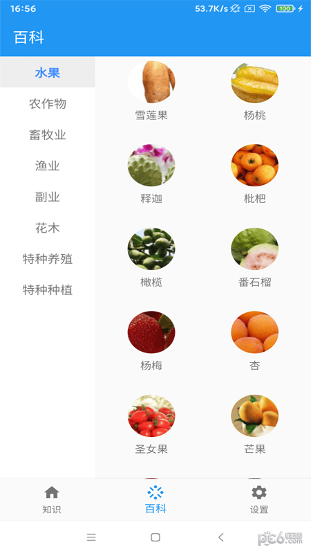 森雅农业