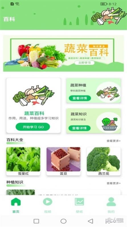 有机蔬菜市场