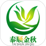 泰顺金秋 v00.00.0020