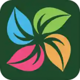 田字草 v5.3.1