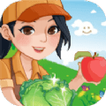 有机蔬菜市场 v1.1