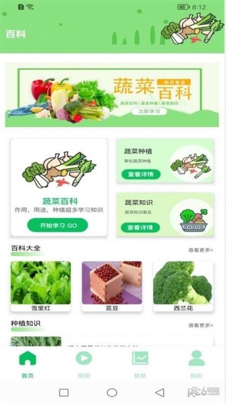 有机蔬菜市场