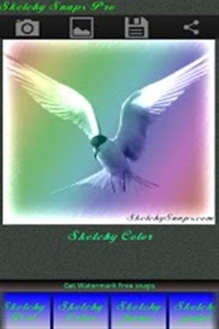 画廊(Photofy) 画廊(Photofy)