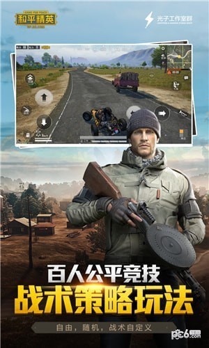 和平精英战绩查询助手