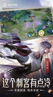 王者荣耀梧桐美化包