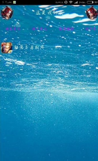 丸子王者荣耀美化包
