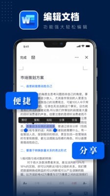 word文档