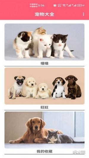 宠物宝宝大全 宠物宝宝大全