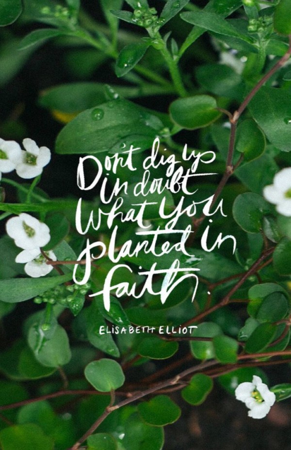 孕期小常识宝典 孕期小常识宝典