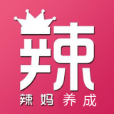 辣妈养成记