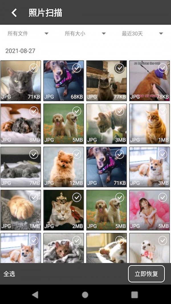 顶呱呱数据恢复 顶呱呱数据恢复