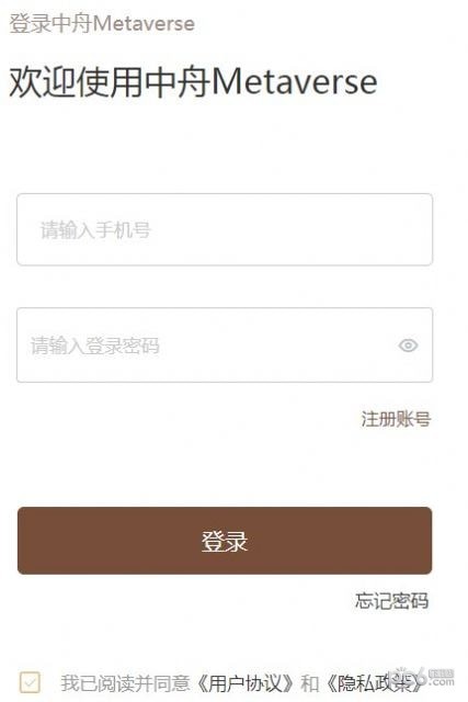 中舟Metaverse