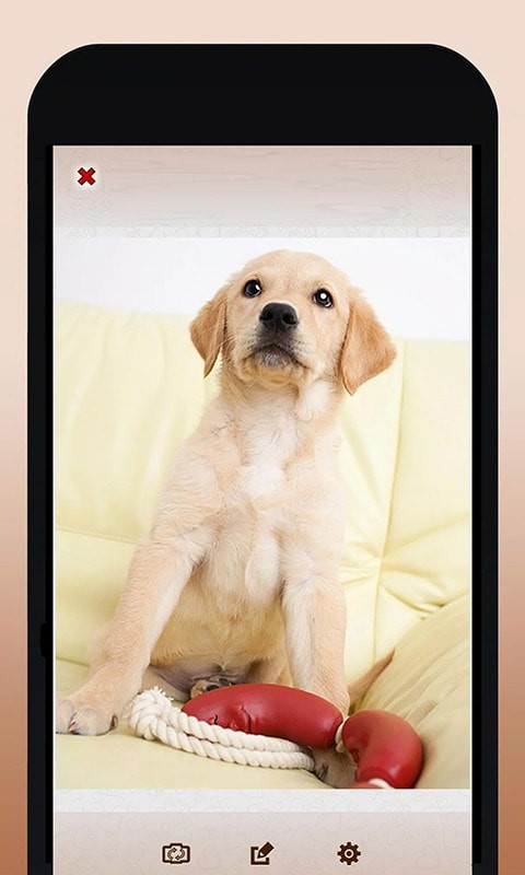 修狗翻译模拟器