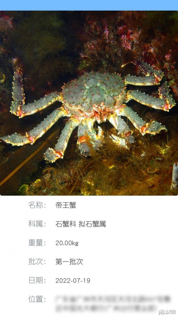 南海天然海鲜商家