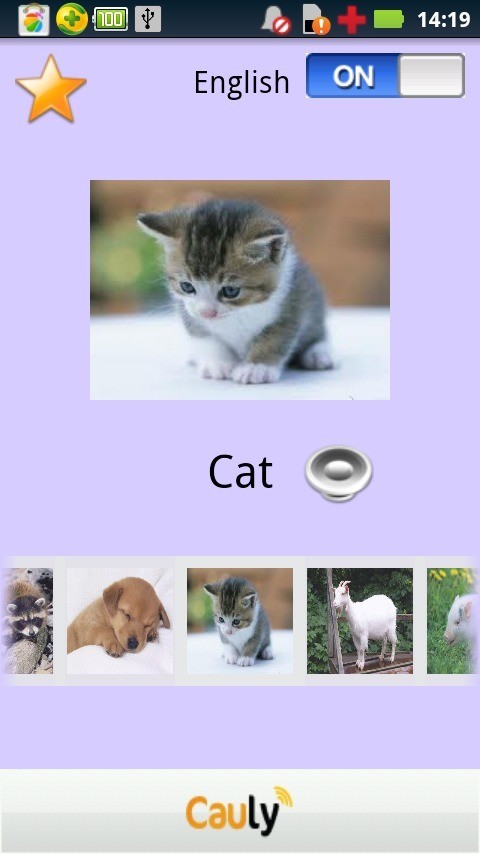 动物韩语英语学习